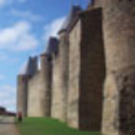 El Punto Del Sabor De Manga